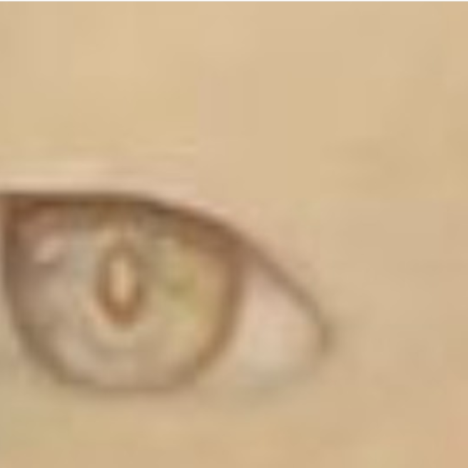 Close-up eye crop — perception detail