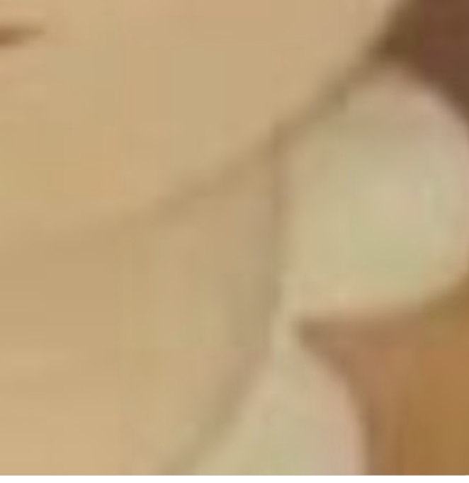 Close-up skin/hair crop — perception detail